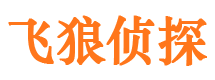 红桥市私家侦探